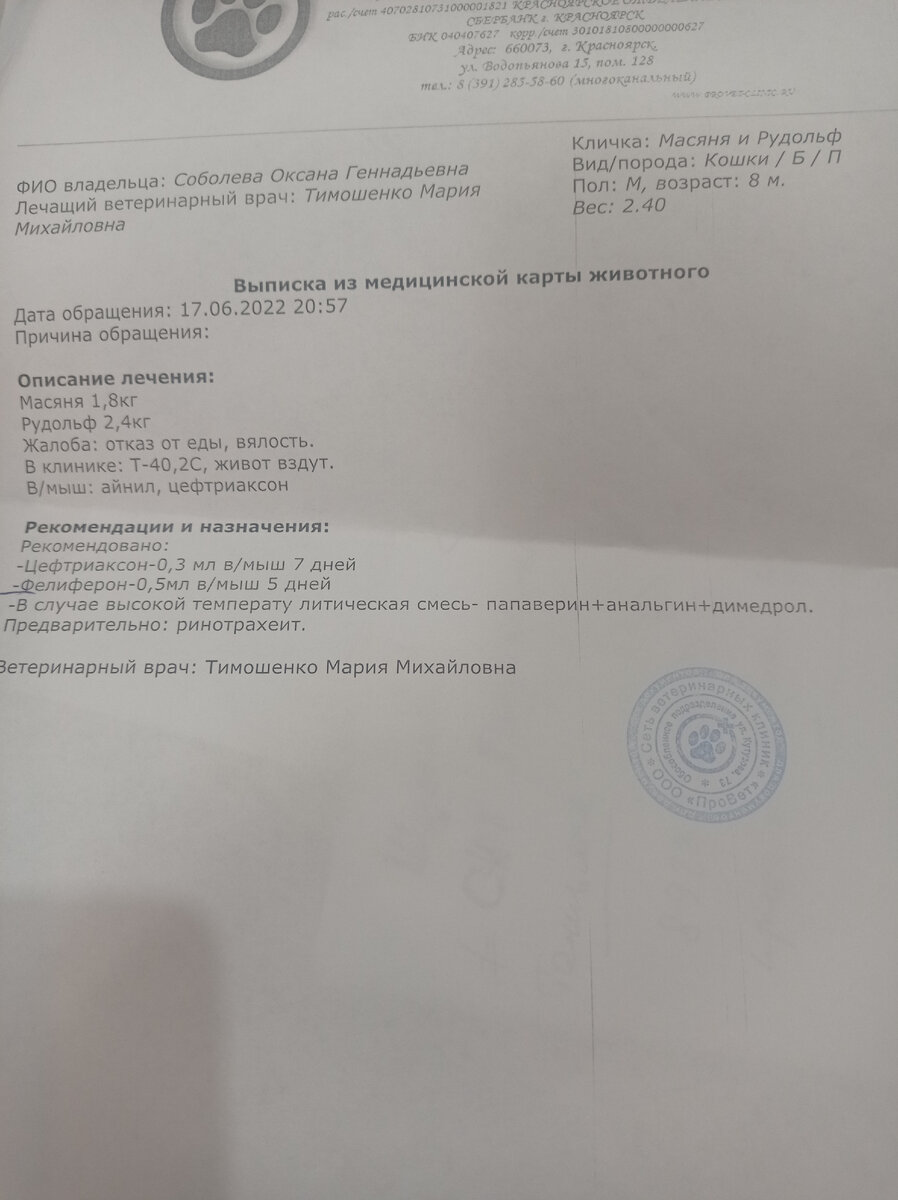 ошибочно Стешку назвали Масяней,а я не посмотрела сразу, как то не до этого...