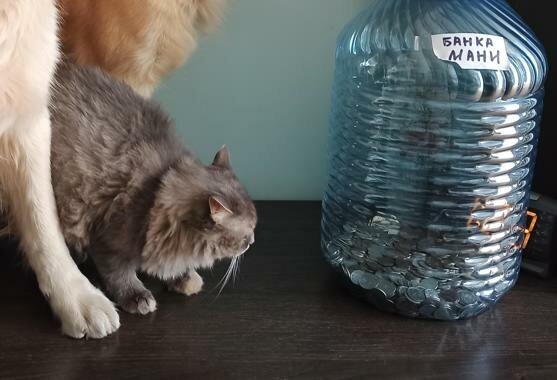 Маняха и её новая банка