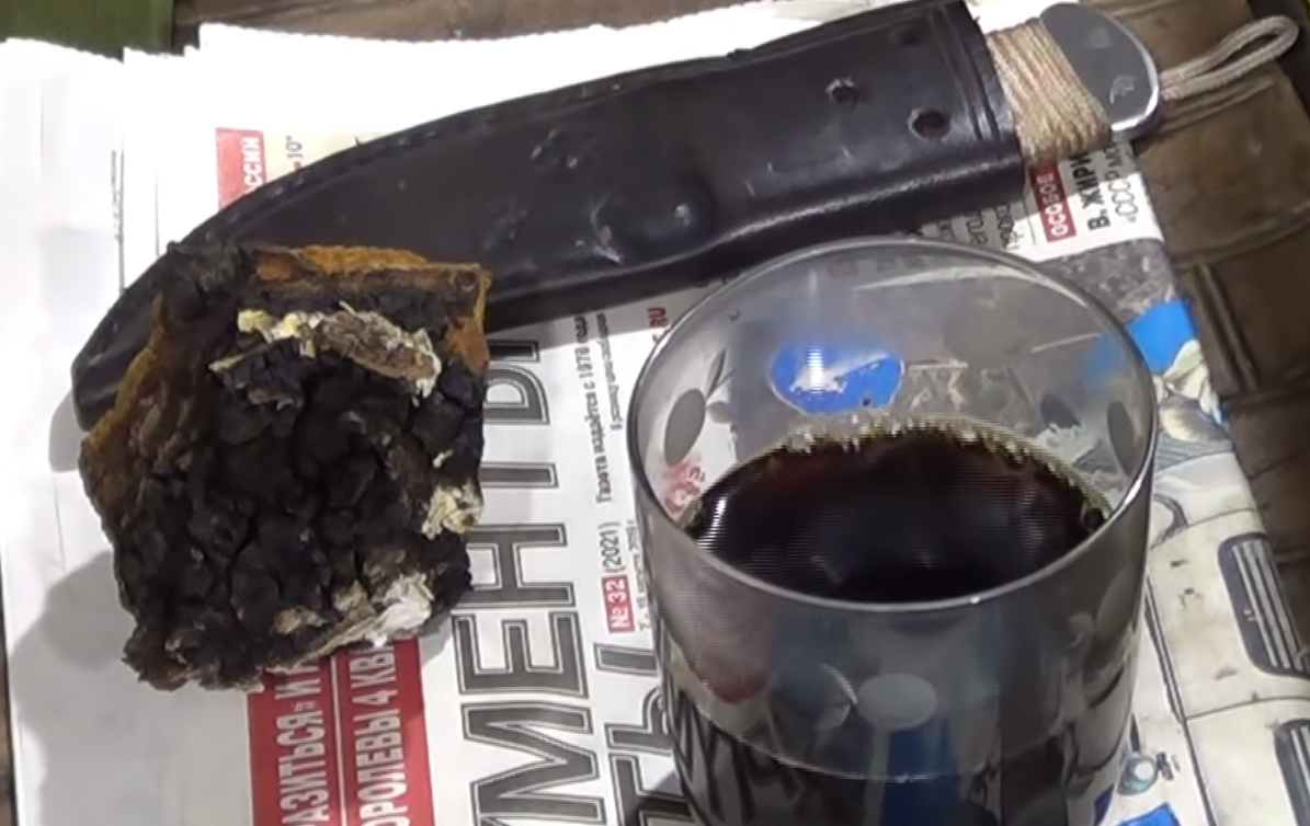 Фото с канала «Тайга моя заветная»