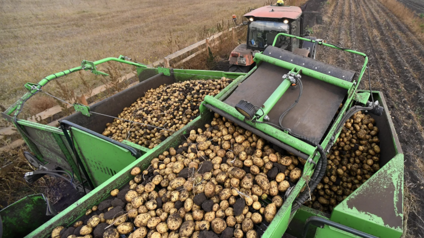    РИА Новости / Илья Наймушин