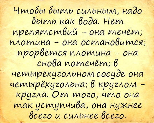 31 цитата, доказывающая, что вода — это любовь