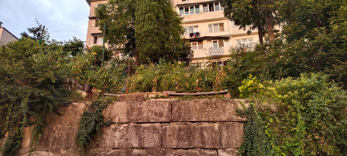 Фото автора канала