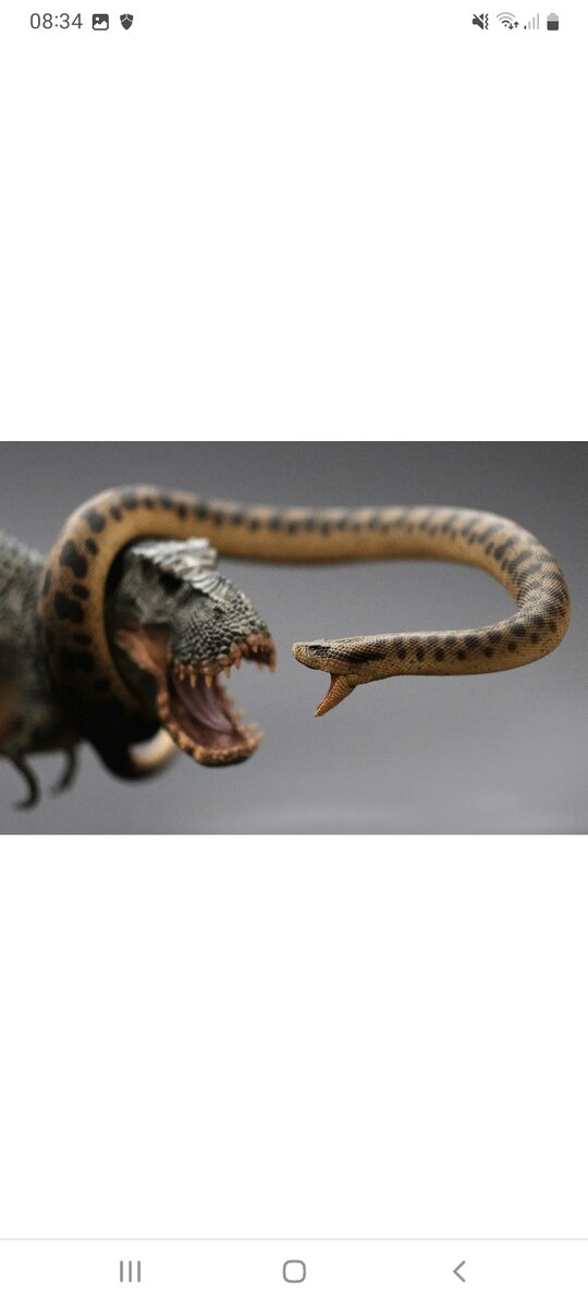 Титанобоа сражается с тирексом. Экспозиция музея.