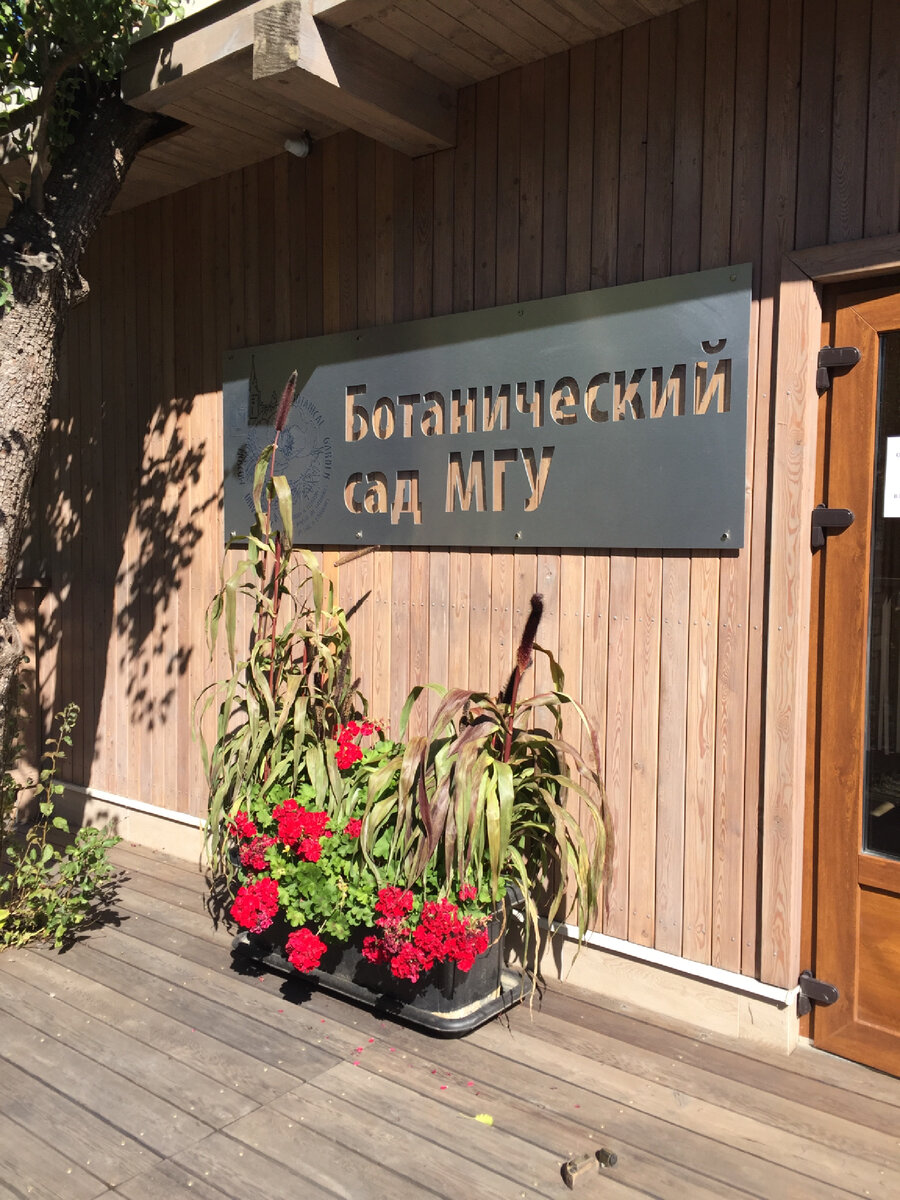 Фото сделано автором и принадлежит автору 