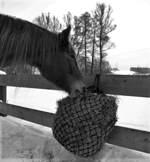 Изображение из сети интернет