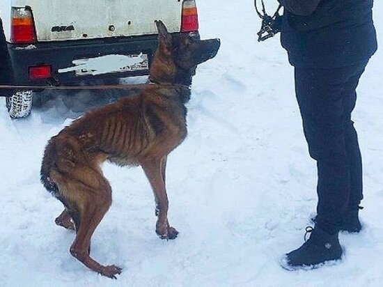     фото со страницы "Это случилось в Рыбинске" ВК