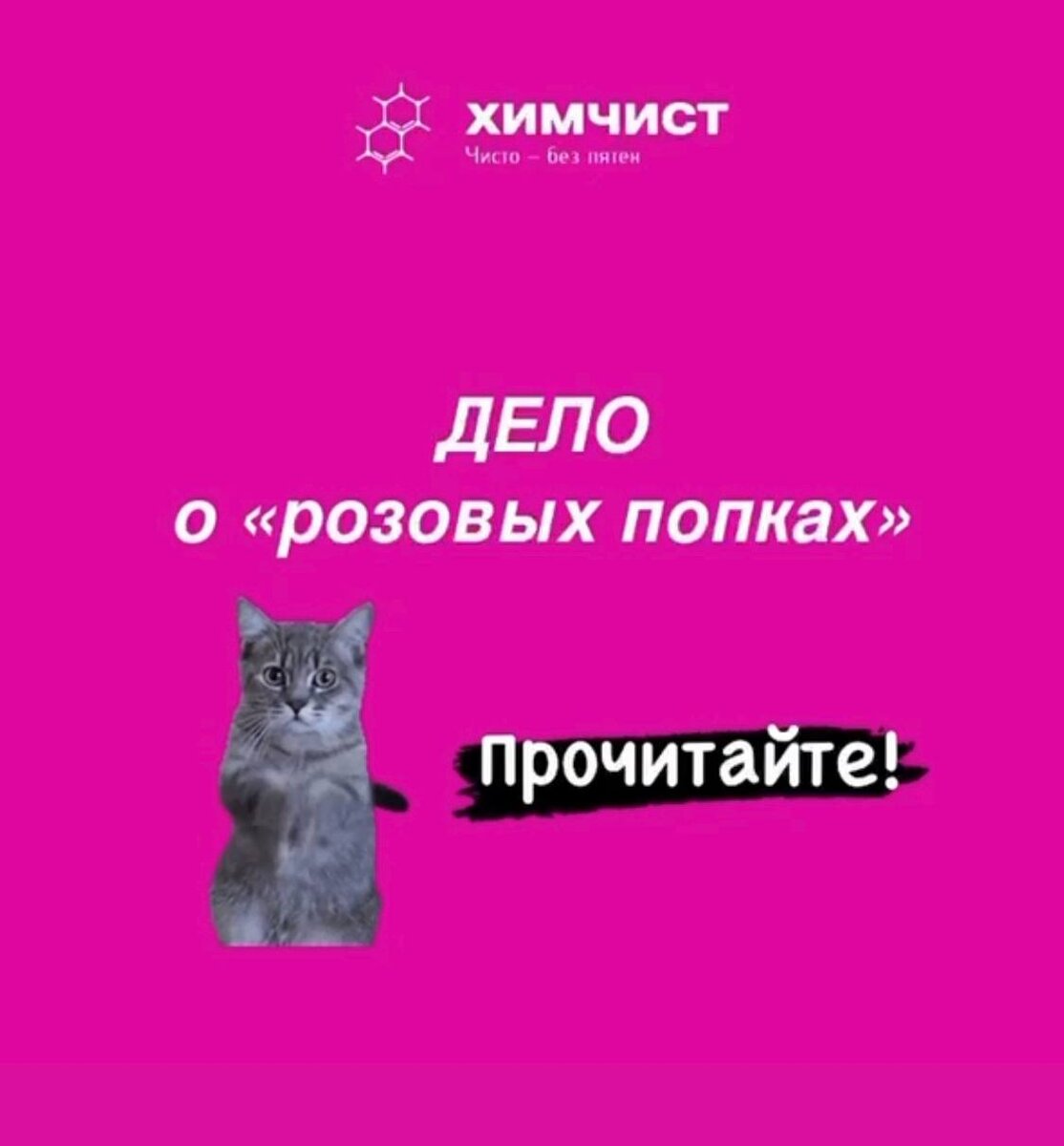 Дело о чистоте совести.