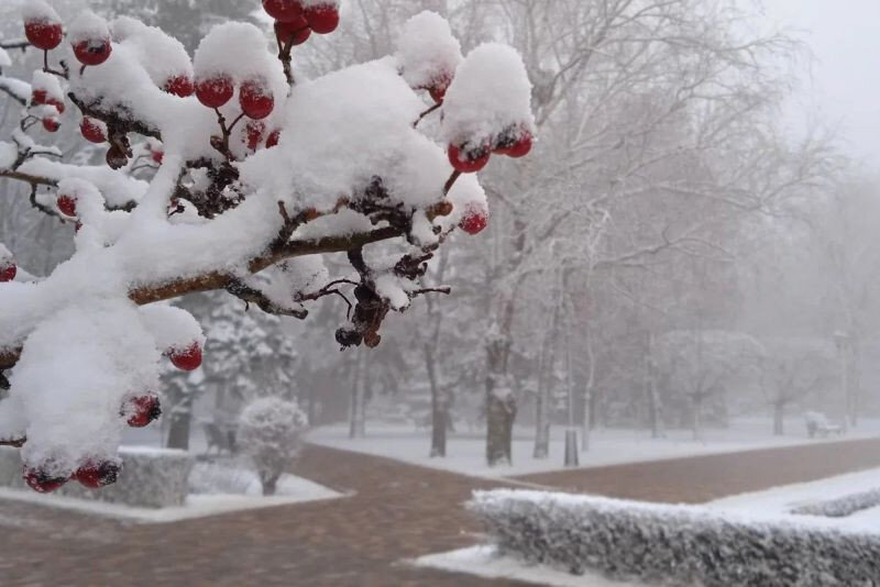   ГТРК "Ставрополье"