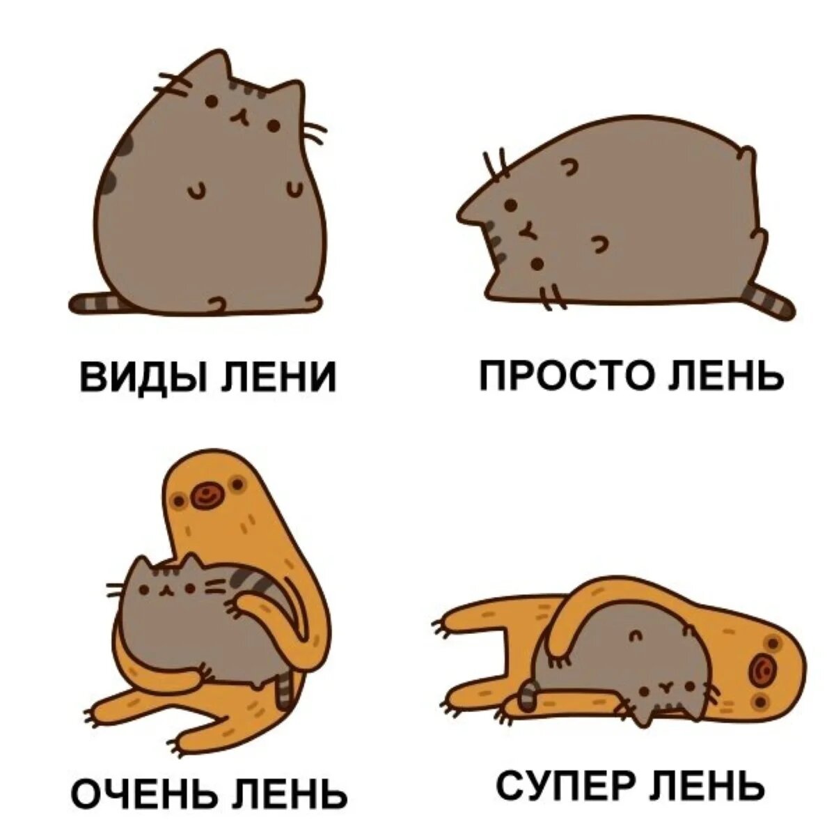 Виды лени по Ленивцу