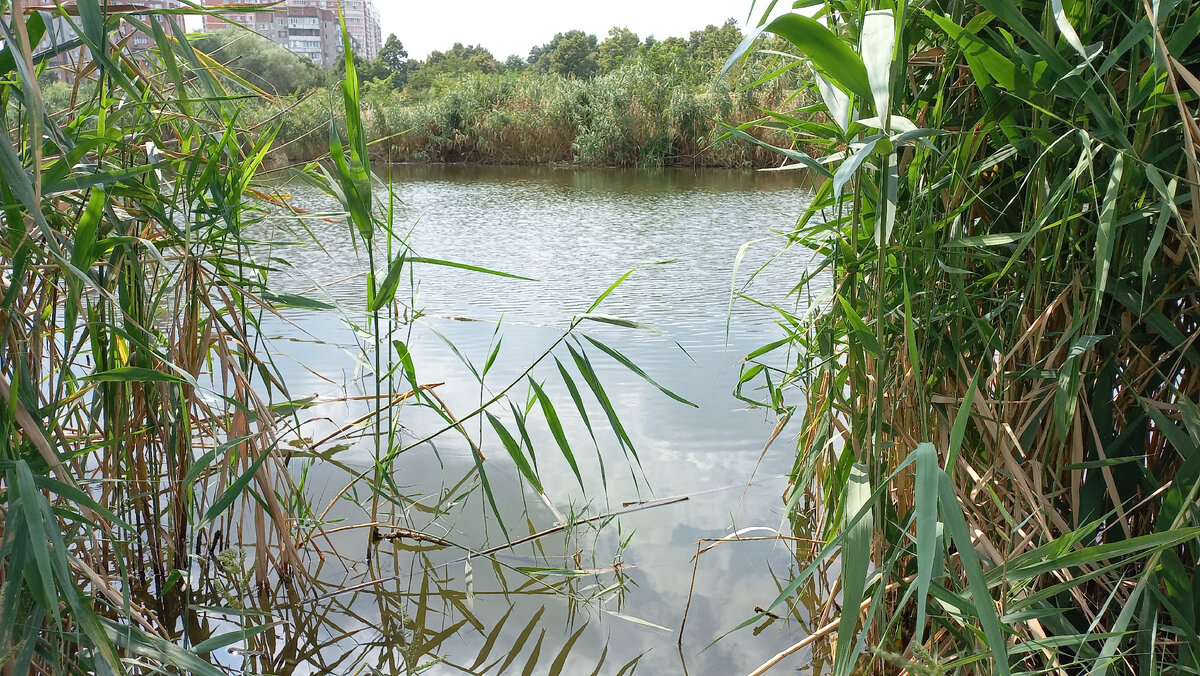 Один из Карасунов. Фото автора
