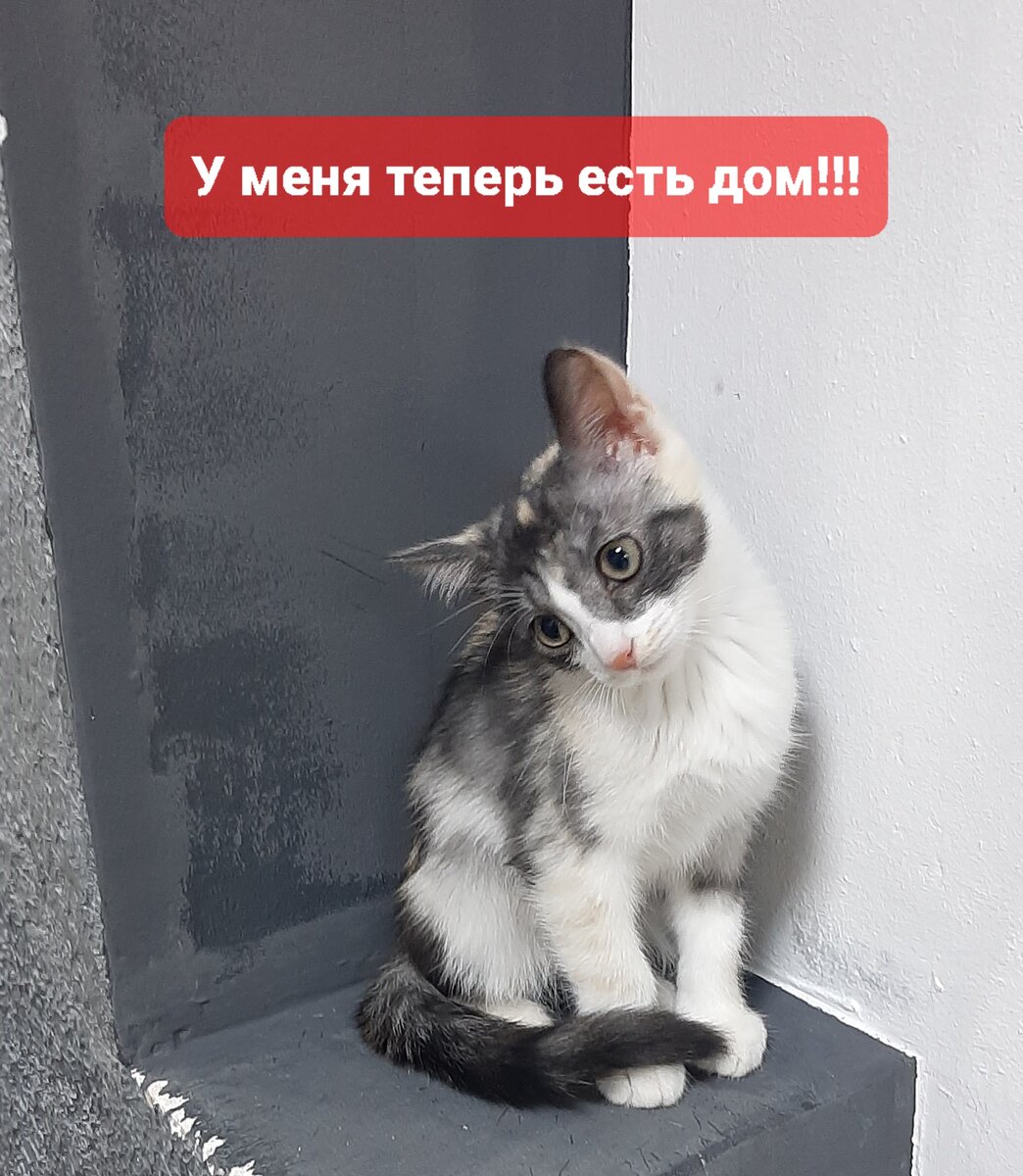 Иванка