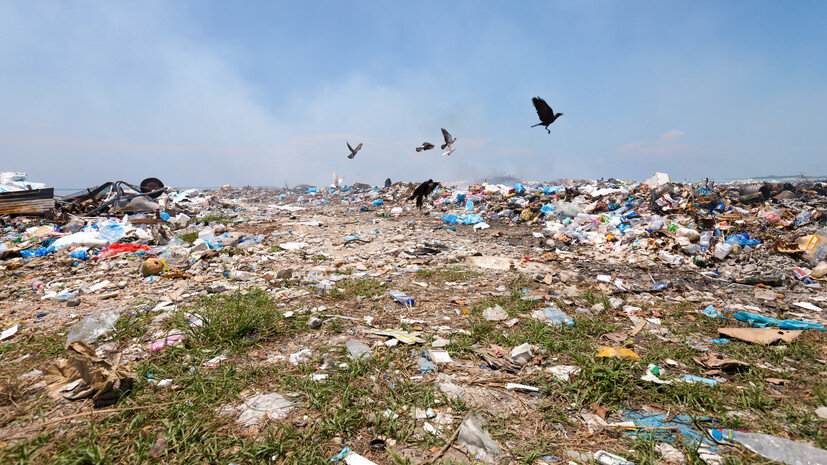   Gettyimages.ru pashapixel