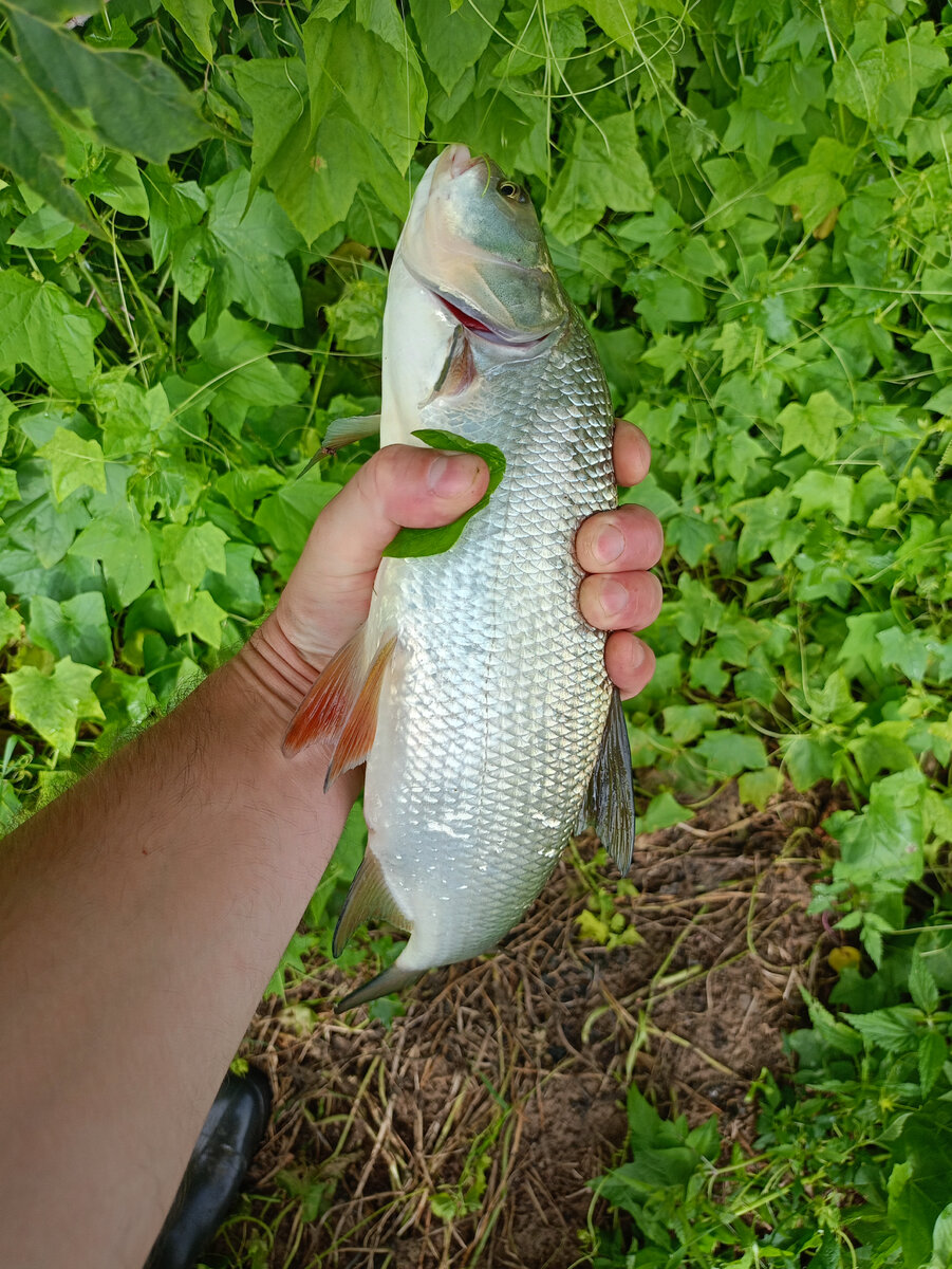 Я чувствую его мощь у себя в руке))) 