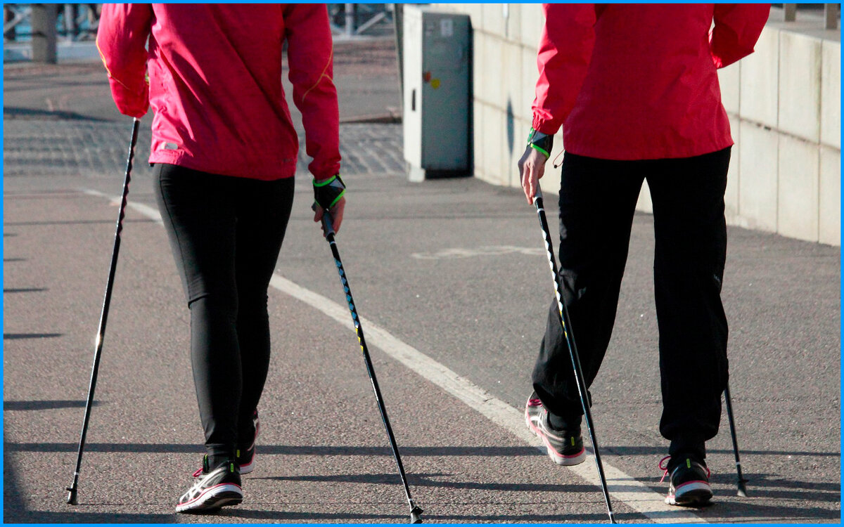 Источник: pixabay.com