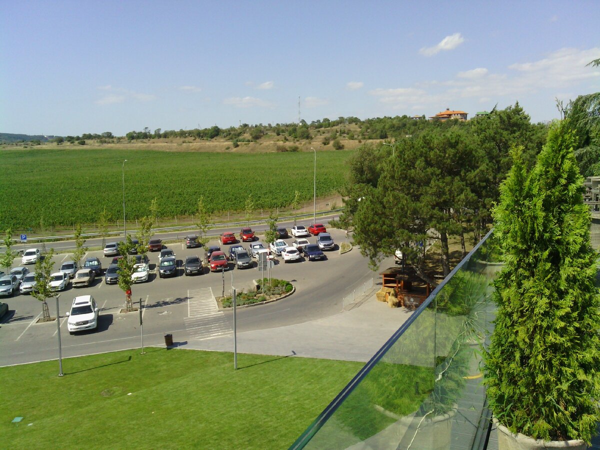 Вид на виноградники и дорогу с террасы кафе