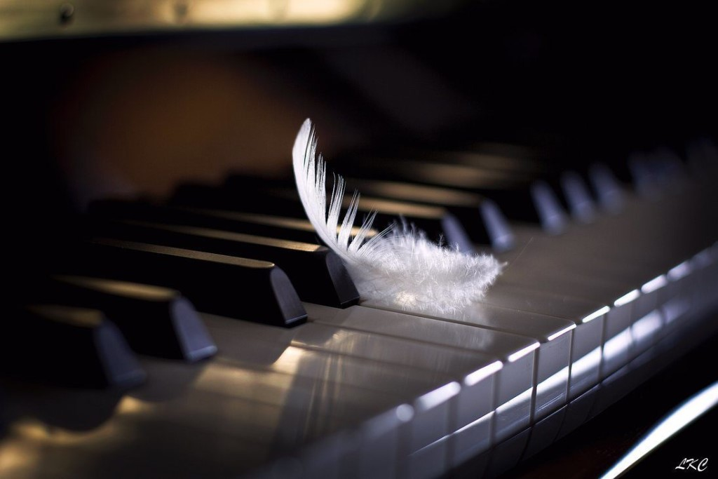 Клавиши белого рояля. Фортепиано на природе. Красивый рояль. Клавиши рояля. Клавиши пианино.