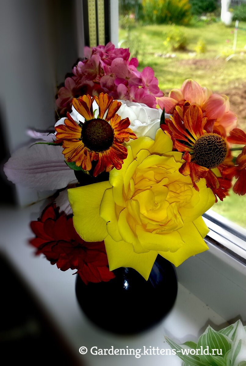 У срезанных цветов салициловая кислота блокирует выделение растениями гормона, который приводит к увяданию и смерти после срезки