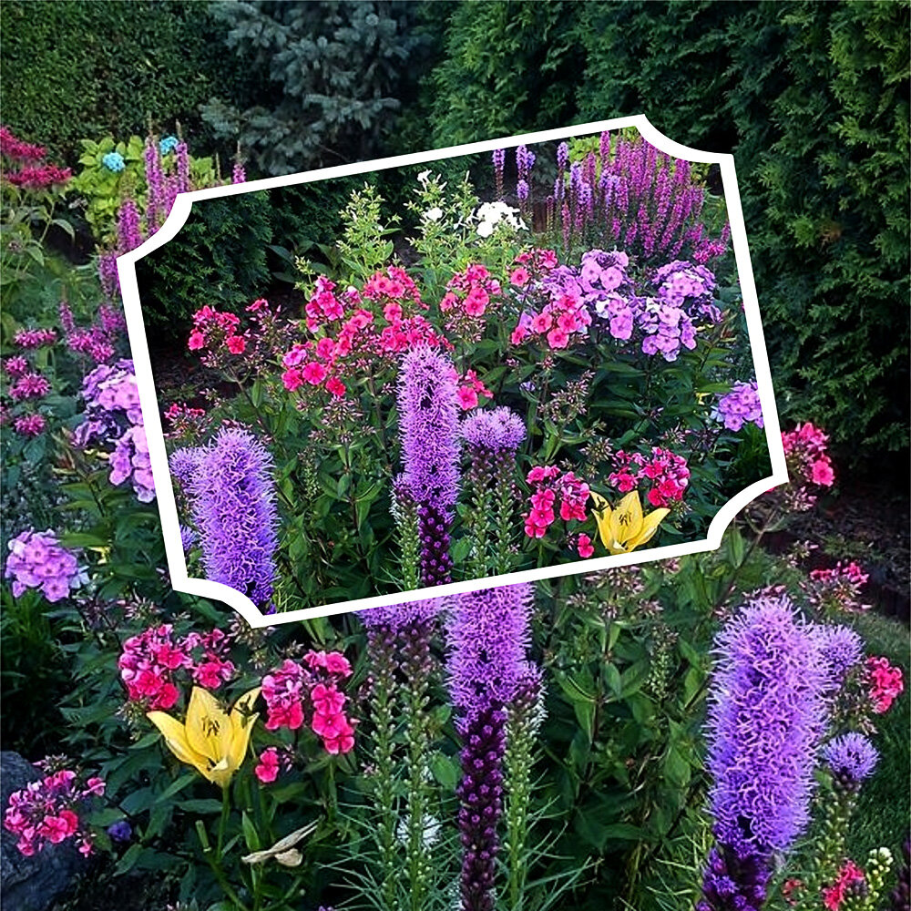 Не потрём, так заморозим! Помогите любимым растениям быстрее взойти