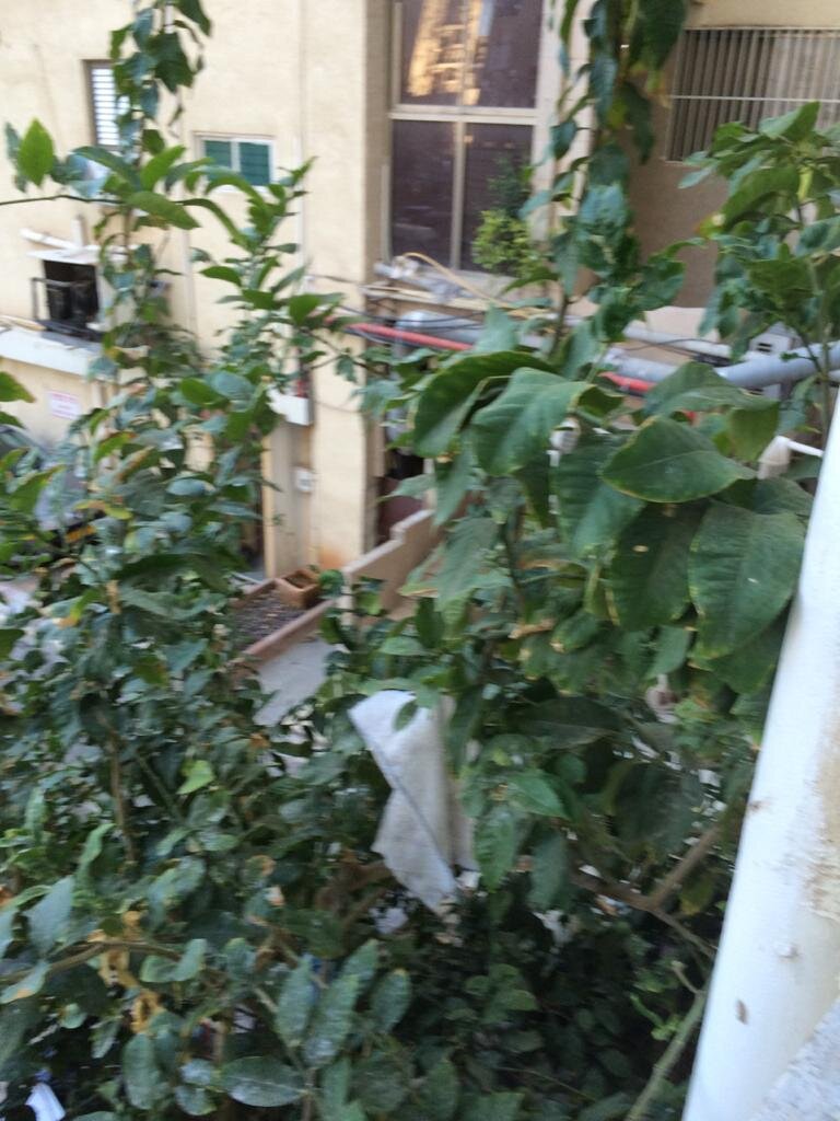 Вид из окна