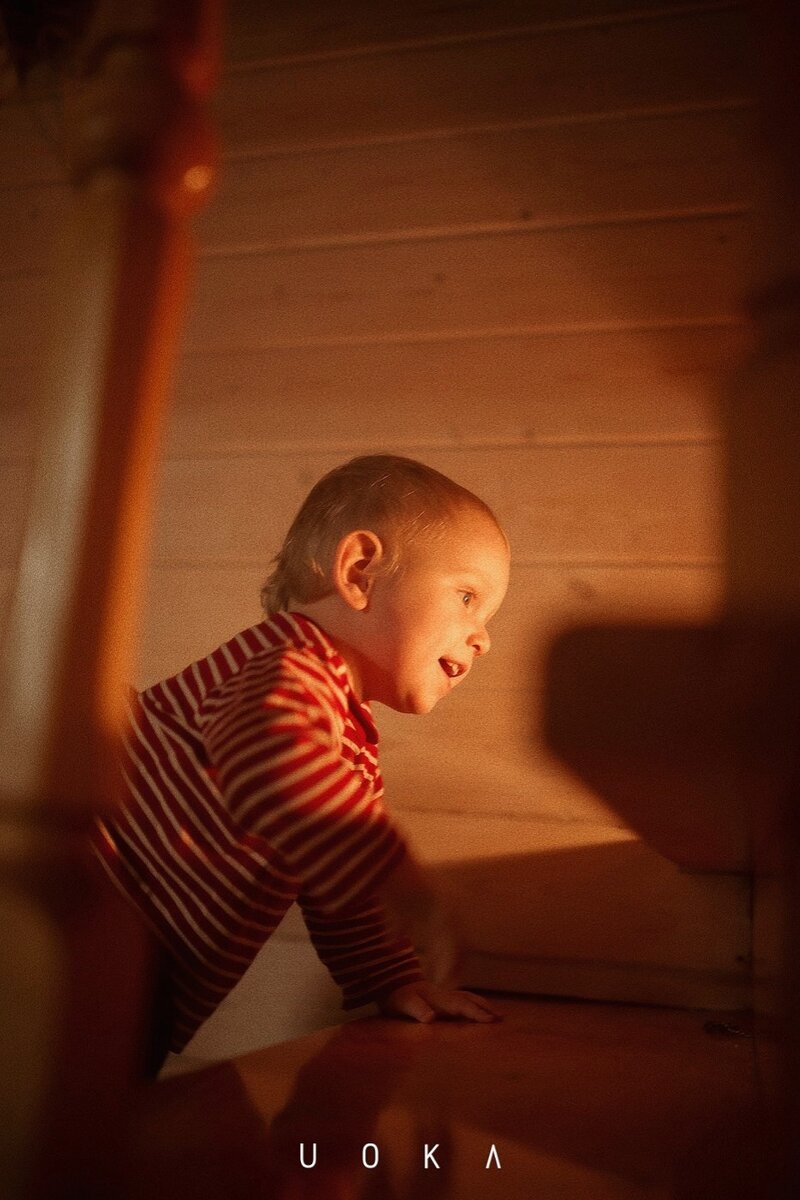 Мой шилопопень