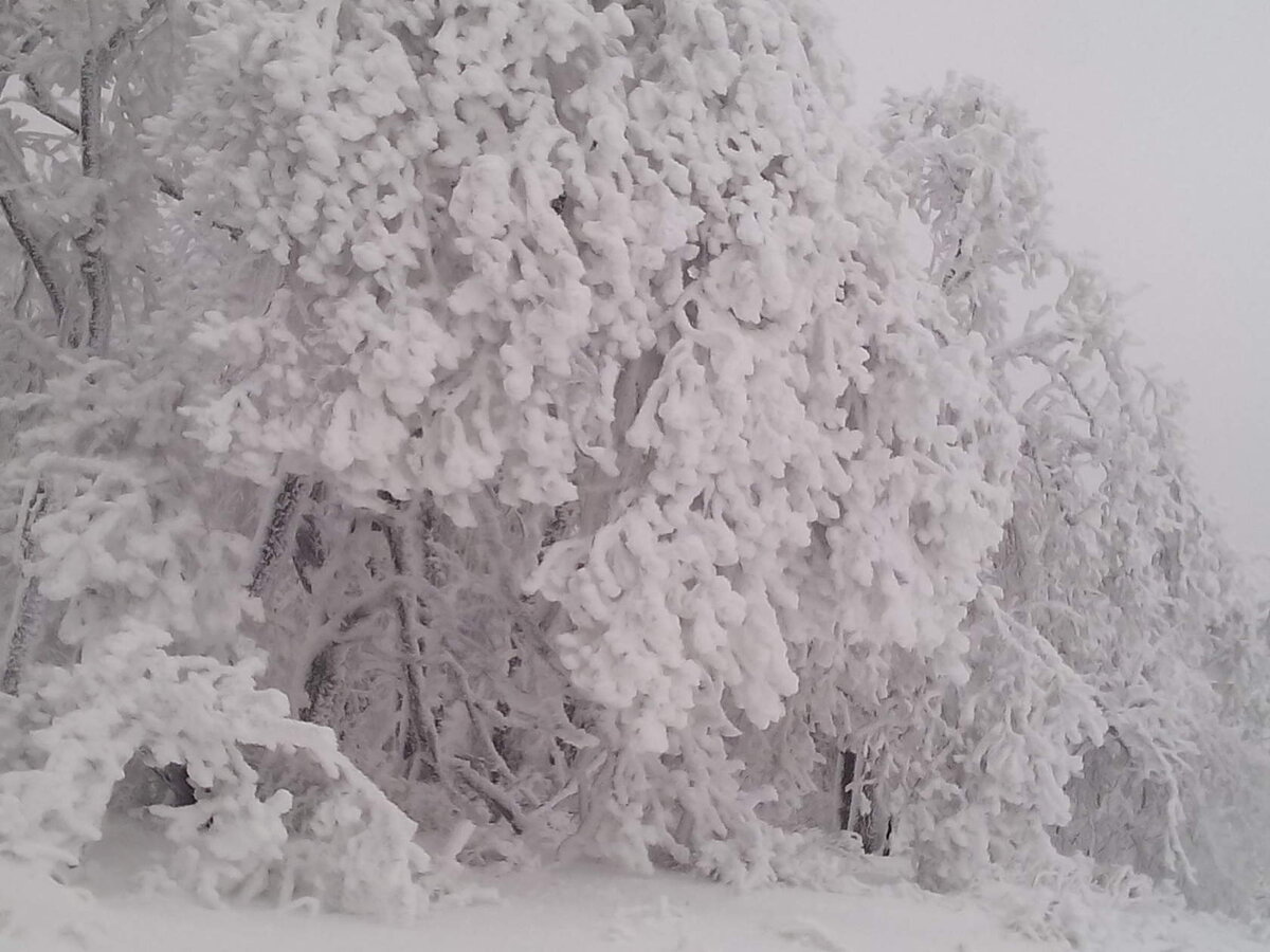 Зимний марафон 2017