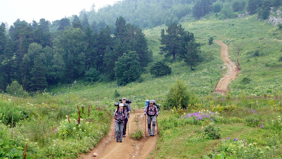 Начало пути