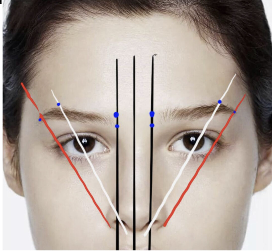 Правильное построение разметки брови. 