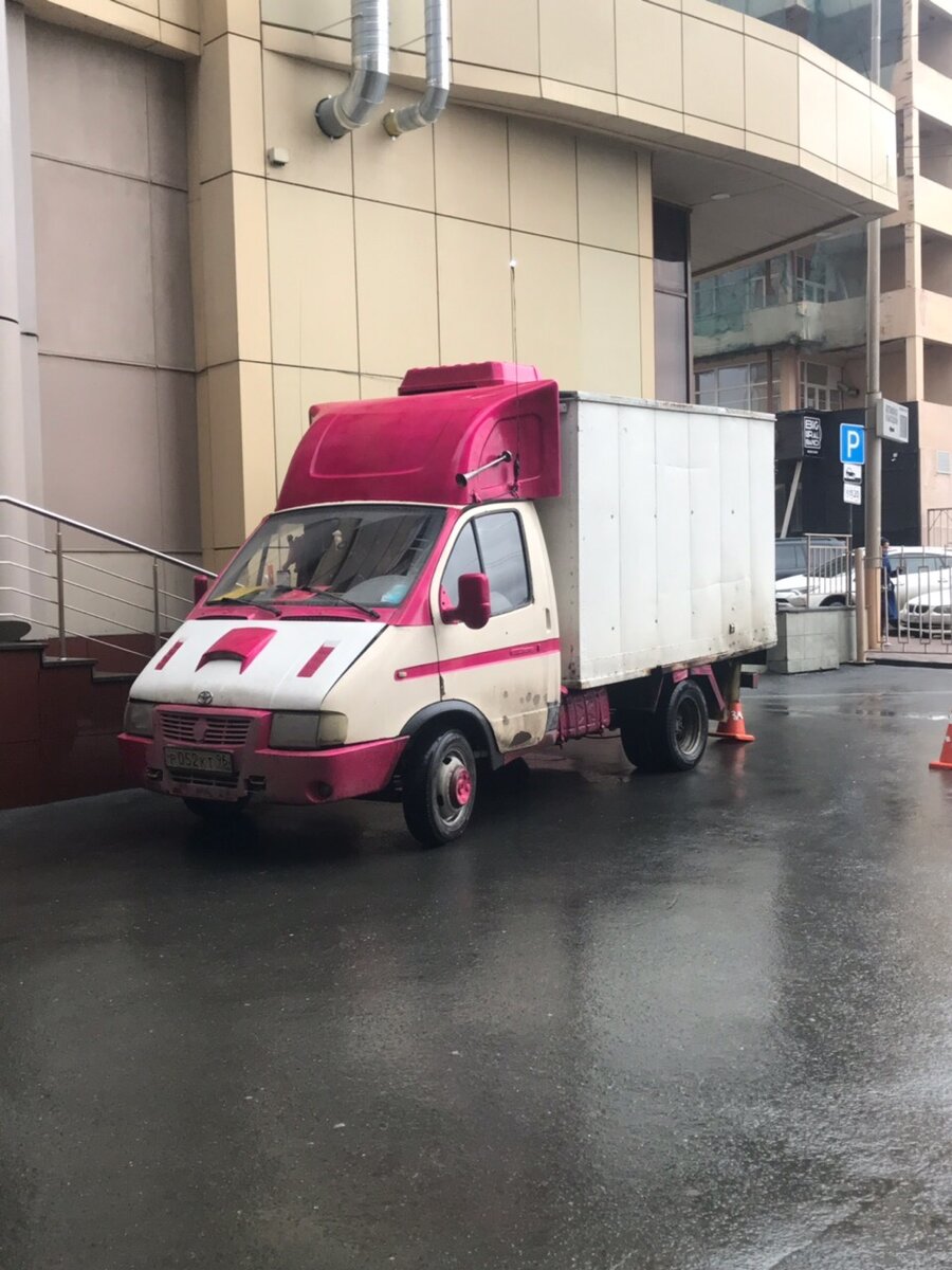 Цирковая Газель