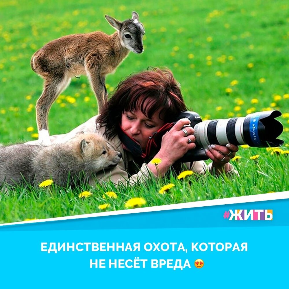 Природа - это прекрасное, неповторимое творение, которое даёт нам все, что необходимо, но мы этого не ценим🙈

Нужно заботиться об окружающем нас мире. И мы хотим попросить вас - не портьте этот прекрасный мир ради забавы🙌🌏

#жить #проектжить