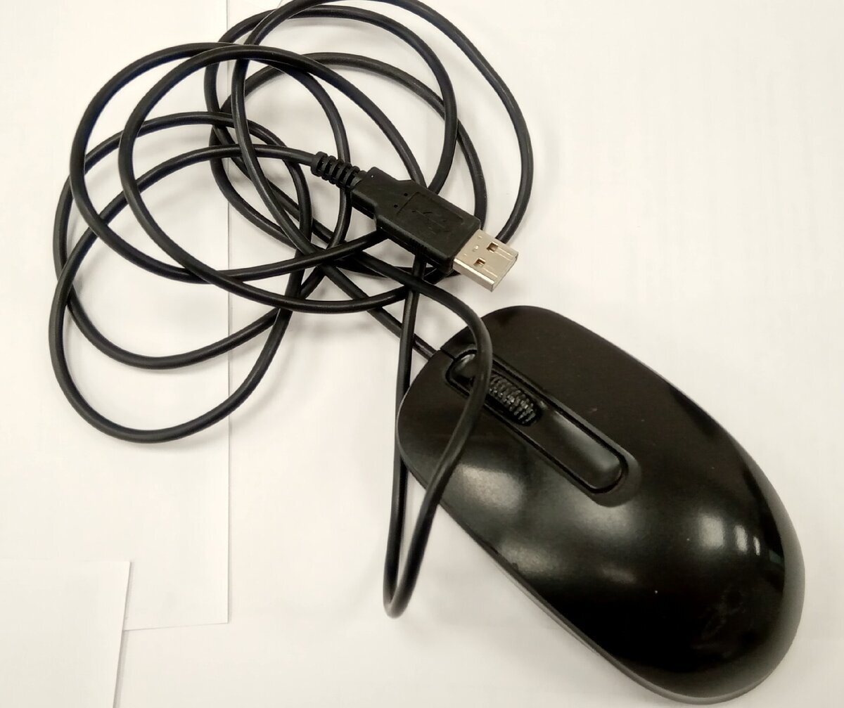 Компьютерная мышь