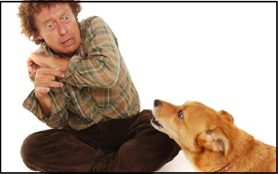 Фото взято из открытых источников