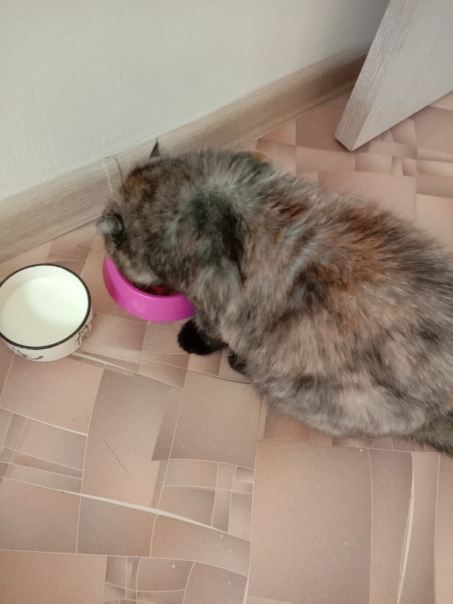 Фото автора. Завтрак