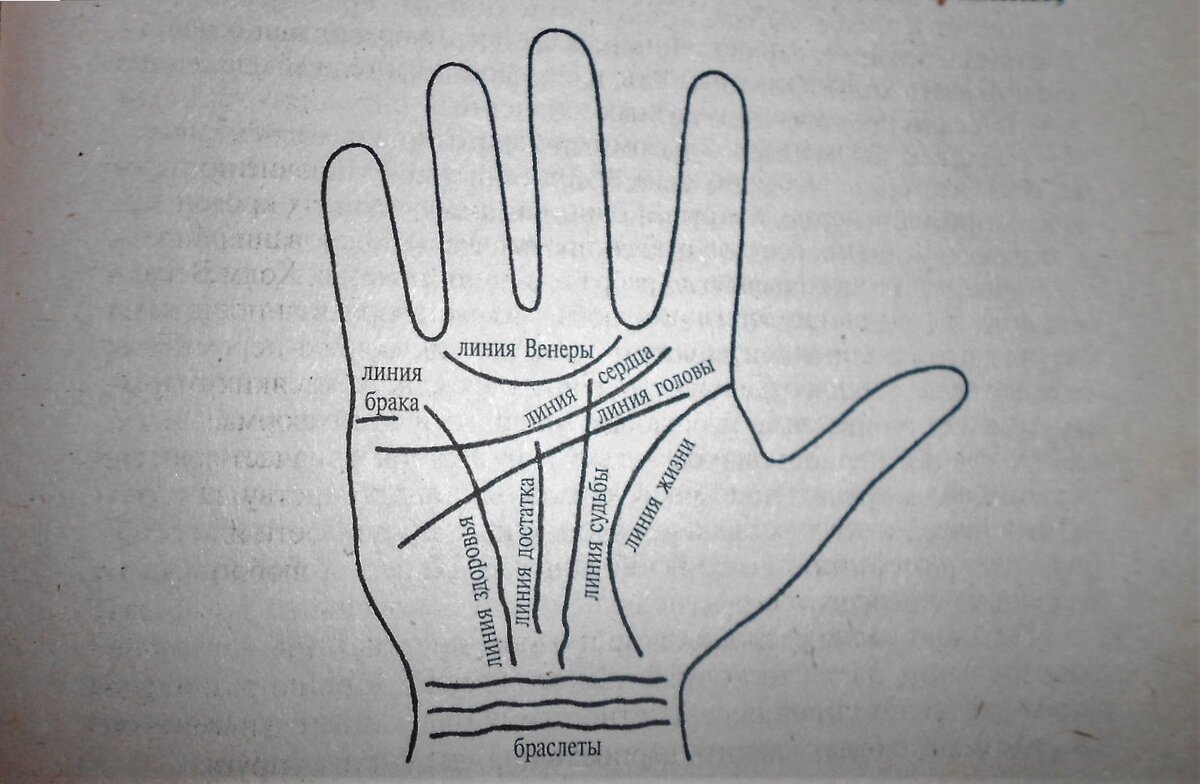 Хиромантия. Моя короткая линия жизни: знак ранней смерти или предвестник  перемен | SuRok Sansary | Дзен