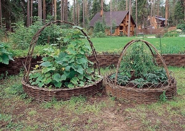 
Грядки в виде корзинок
