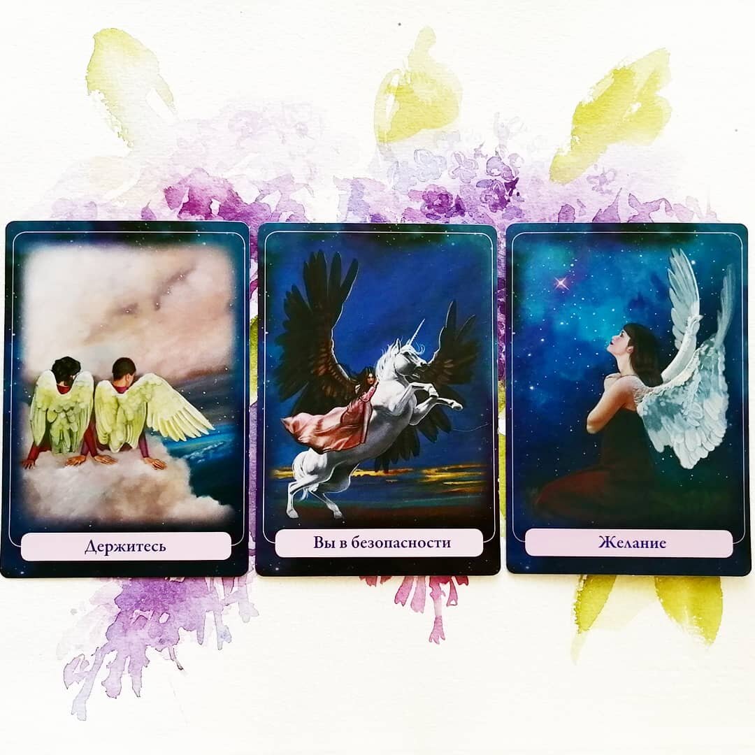 Личное фото автора.