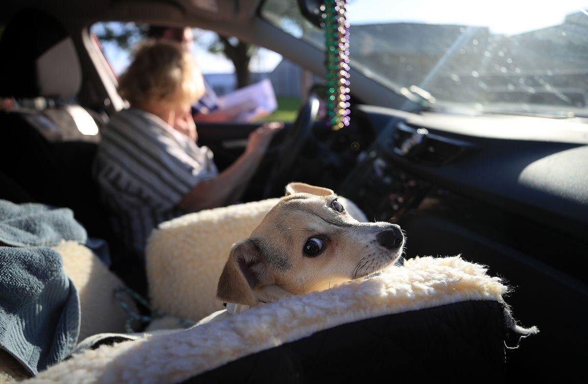 Фото bloomberg.com