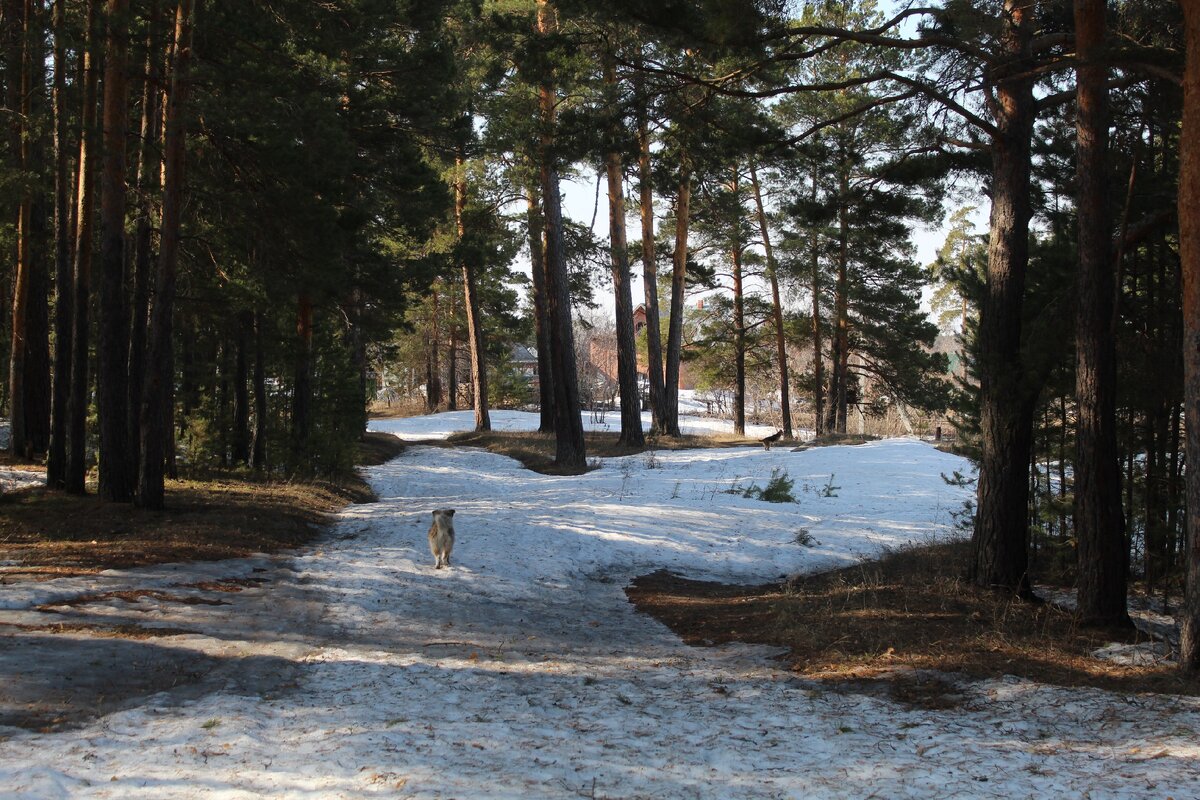 Вроде и снега не много, но не проехать машинам.