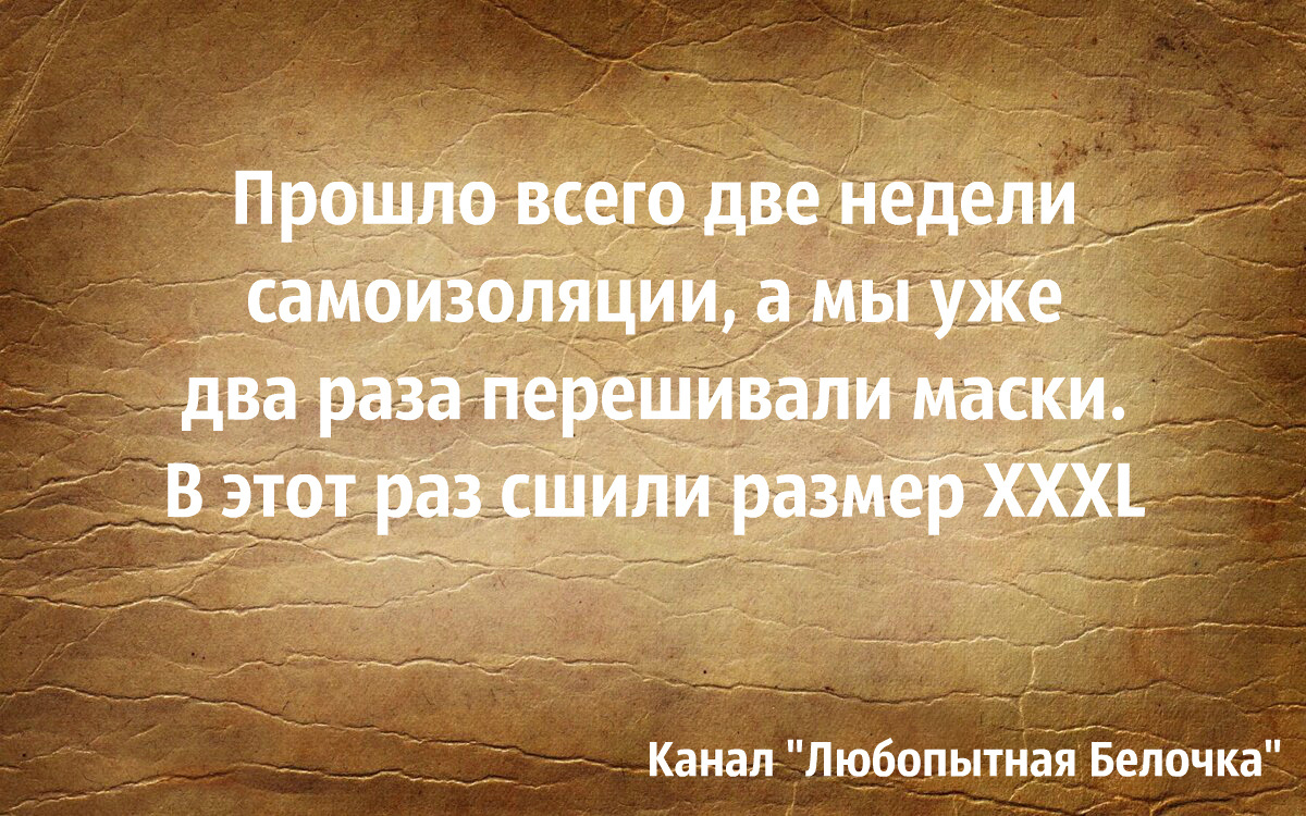  Эти и другие картинки выполнены автором с помощью бесплатного редактора  AVATAN.