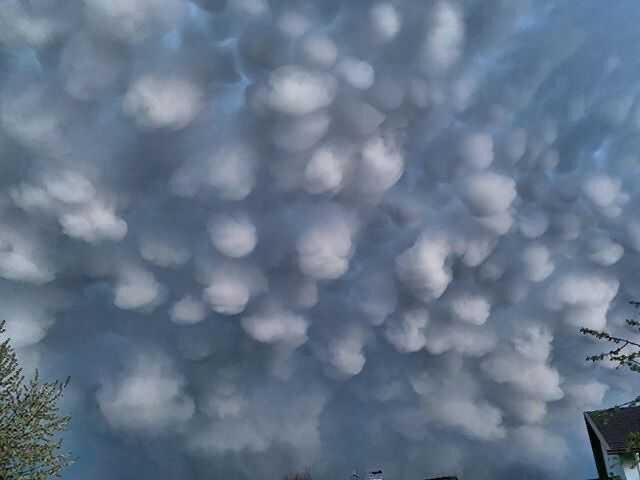 Источник: @hansschild 
