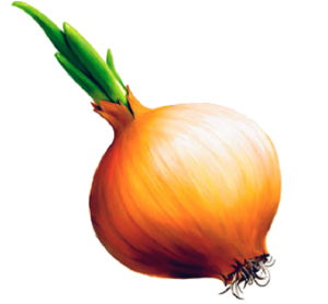 лук репчатый