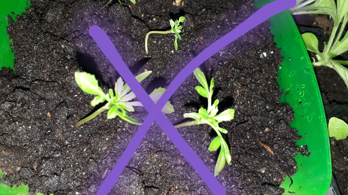 Одна из неудач 