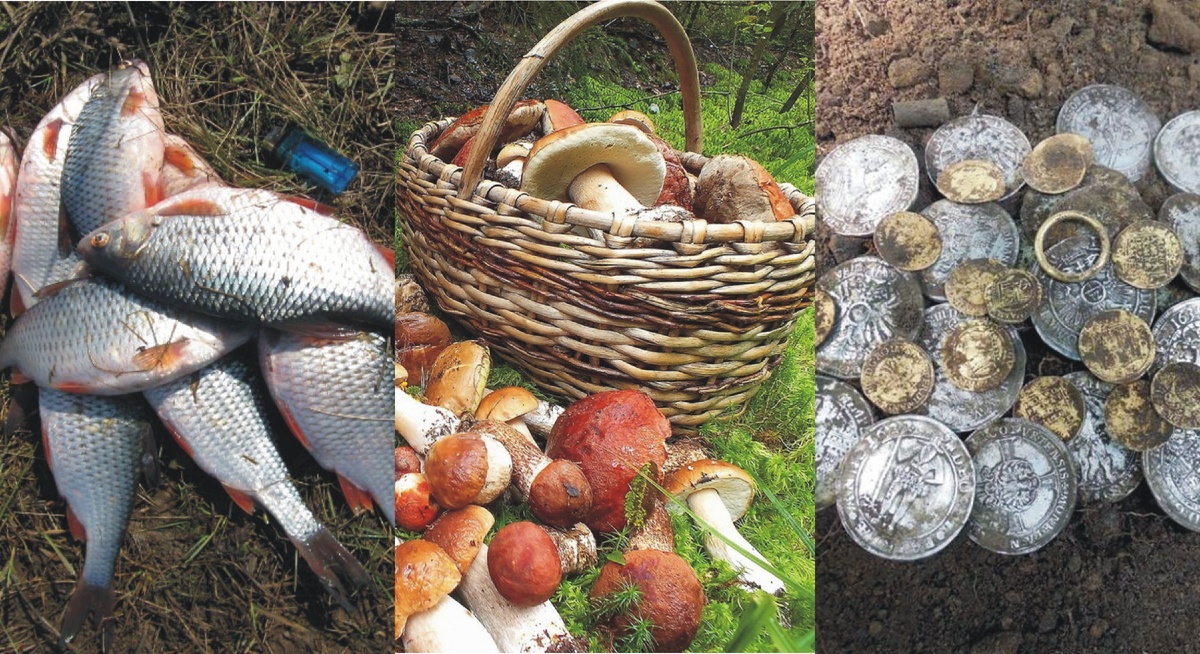 Изображение с сервиса Яндекс.Картинки