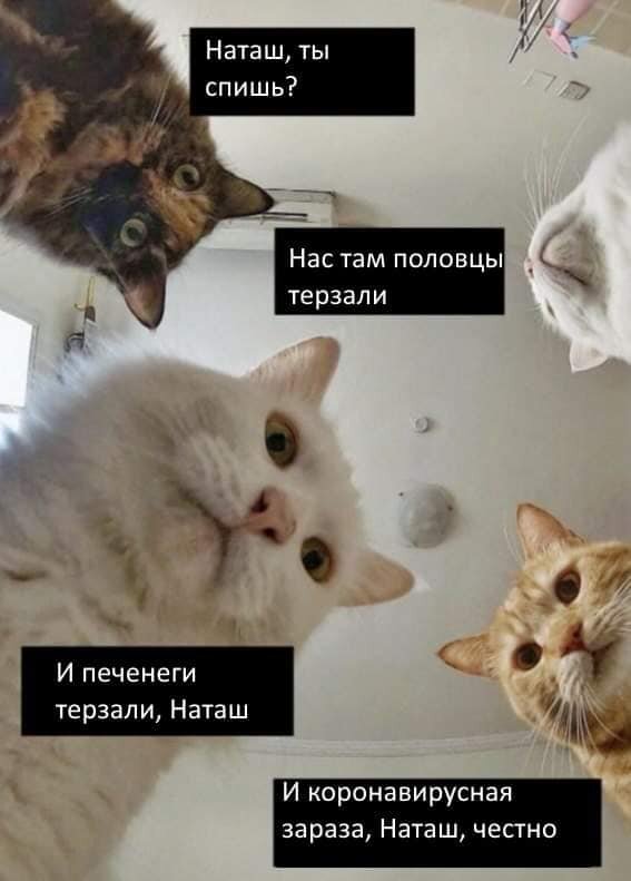 Источник: Наталья Лопатина/Facebook