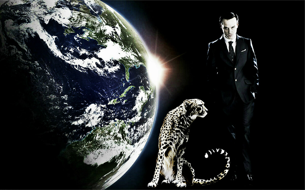 Авторский коллаж из фото с Яндекс.Картинок 