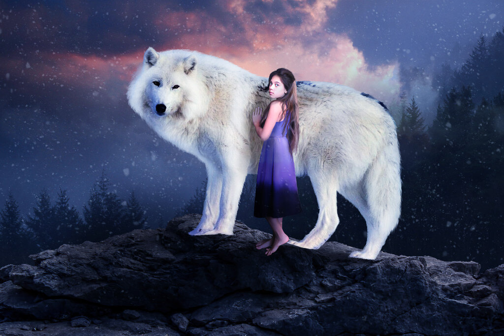 Сказка о девочке и волке(для взрослых) | КиДо. | Дзен