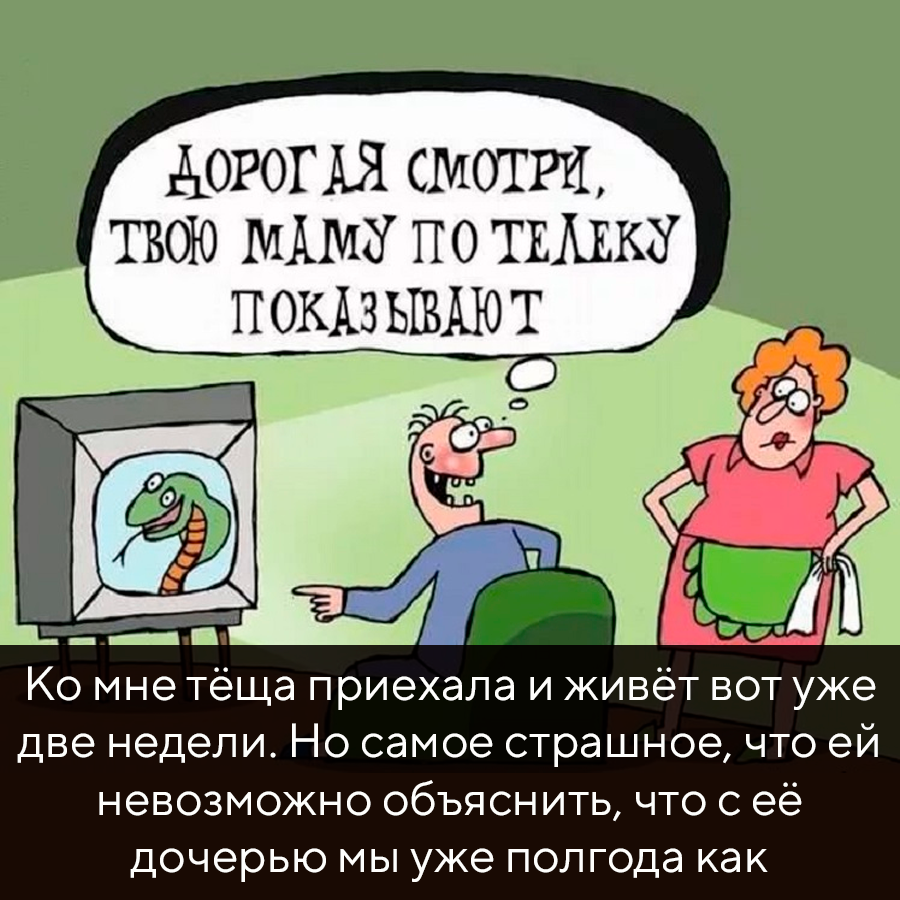 Текст: Ко мне тёща приехала и живёт вот уже две недели. Но самое страшное, что ей невозможно объяснить, что с её дочерью мы уже полгода как развелись.