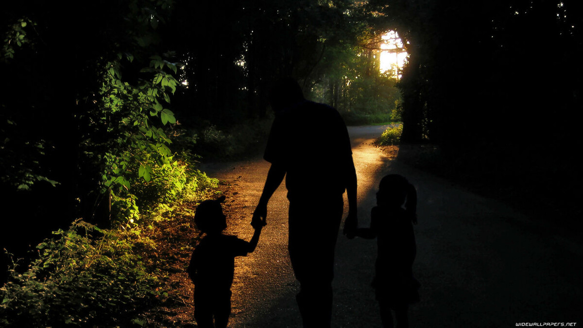 Фото леса: https://oboi7.com/view/lesa-29231