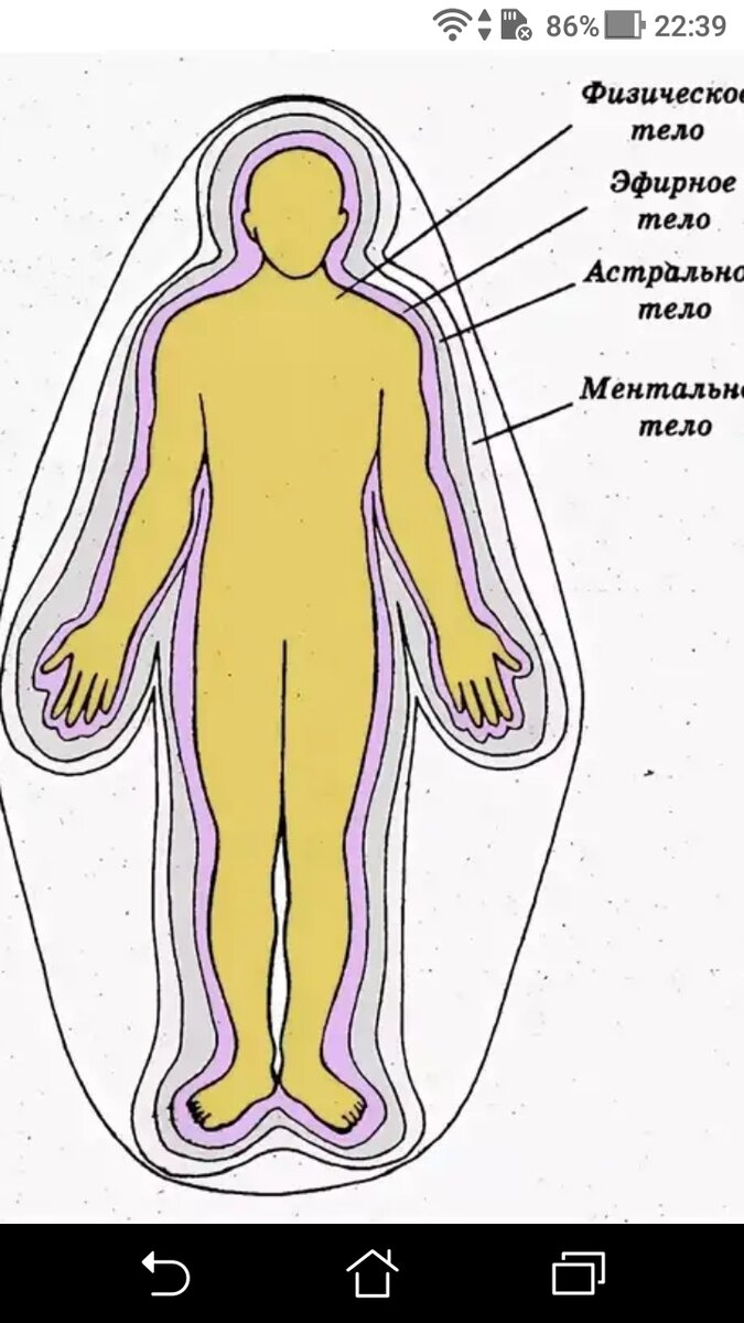 Ментально. Эфирное тело, Аура биополе. Эфирное и астральное тело человека. Физическое тело эфирное тело астральное тело. Ментальное астральное и эфирное тело человека.