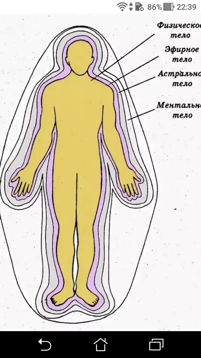 Вокруг физический. Эфирное тело, Аура биополе. Эфирное и астральное тело человека. Физическое тело эфирное тело астральное тело. Ментальное астральное и эфирное тело человека.