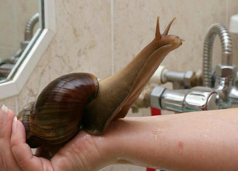 Фотография с сайта https://s-zametki.ru/